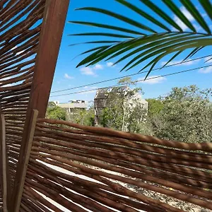  Appartement Beautiful 2 Bedroom In In Maha Mexique